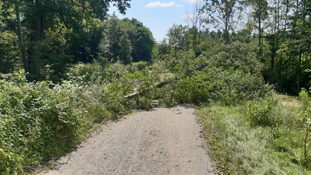 20210718_141342 groß.jpg